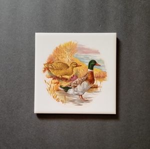 Hyalyn Tile Wall Decor/Trivit